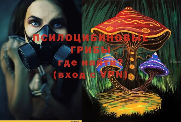 a pvp Алексин