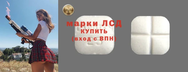 прущий лед Алзамай