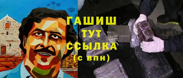 прущий лед Алзамай