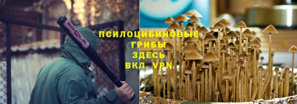 прущий лед Алзамай