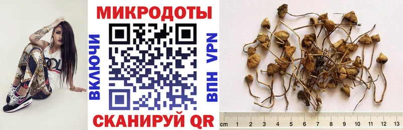 продажа наркотиков  Лабинск  Псилоцибиновые грибы Magic Shrooms 